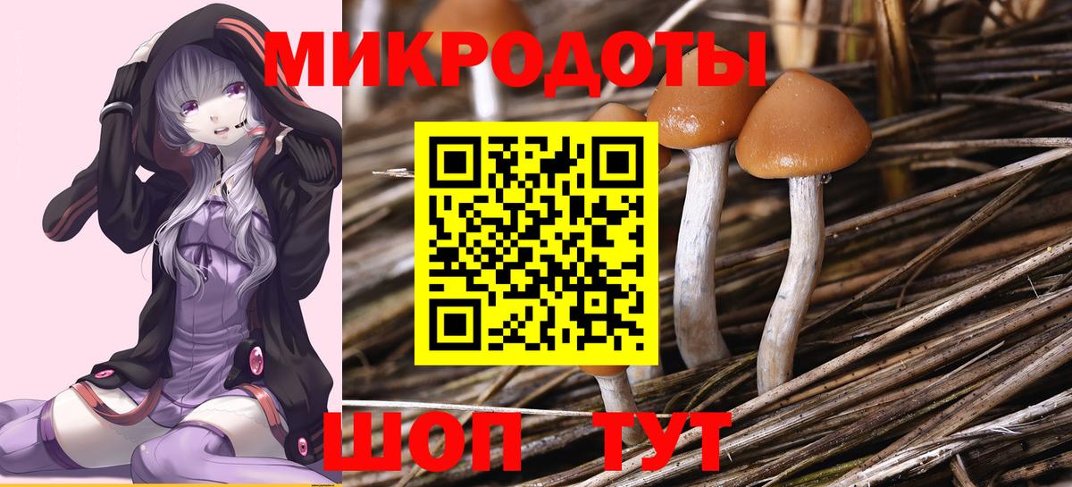 Псилоцибиновые грибы Psilocybine cubensis Пермь