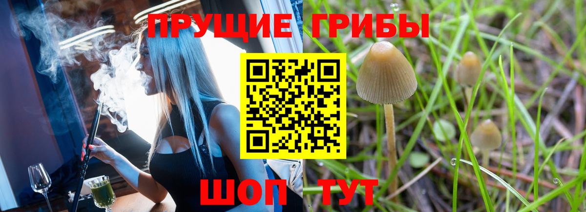 Псилоцибиновые грибы Psilocybe  Вход с VPN  Пермь 